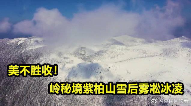 春运明天开启,这份出行攻略请查收!