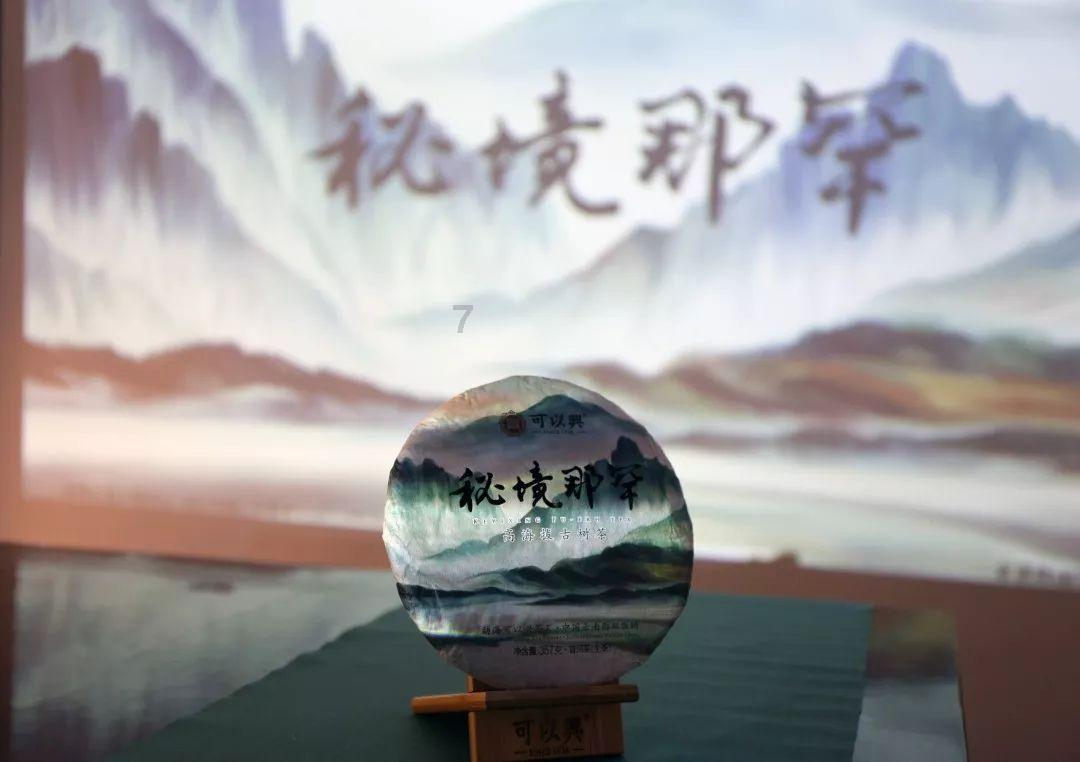 大咖深度对话“保险+康养”热门赛道,多维解析机遇与难点!