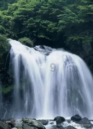 湘湖上新无人驾驶巴士试运营 预计4月初为游客和市民提供出行服务